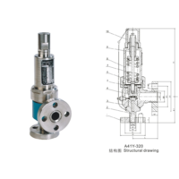 Spring Enlight closed safety valve